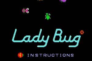 Lady Bug PacMan