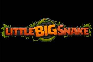 Little Big Snake