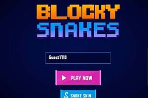 Snake and Blocks
