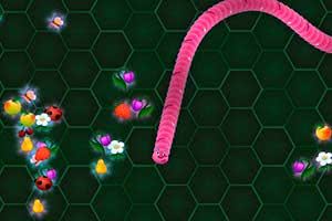 Wormax 2